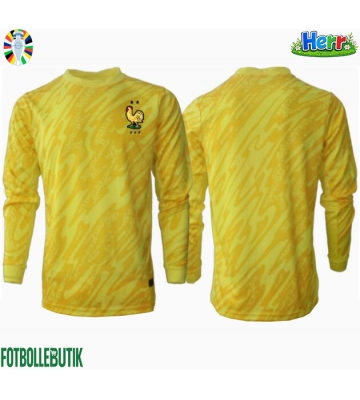 Frankrike Målvakt Hemmatröja EM 2024 Långärmad